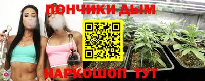 дмт Шахты
